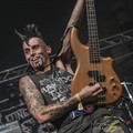 Click to enlarge GutterPunk - Professional Concert Photography